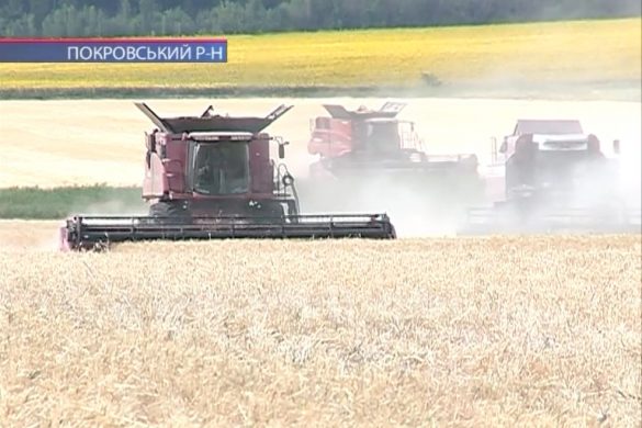 Жнива в АФ «Дружба» : урожай гарний, але не рекордний