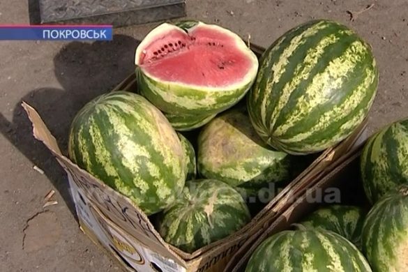 На місяць раніше, або Як обираємо кавун та диню цього літа?