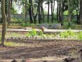 park_zastoy02