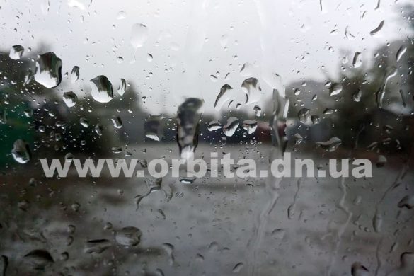 pogona_dojd_rain