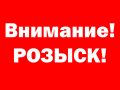rozysk