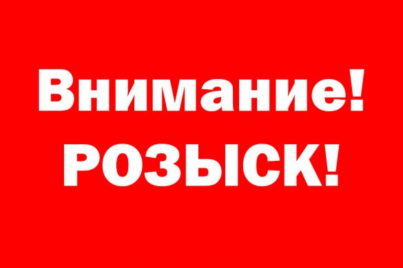 rozysk