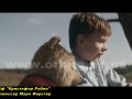 Поговорим о новом фильме «Кристофер Робин»
