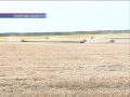 Врожай нижче, ніж минулого року: у Покровську завершено збір ранніх зернових культур