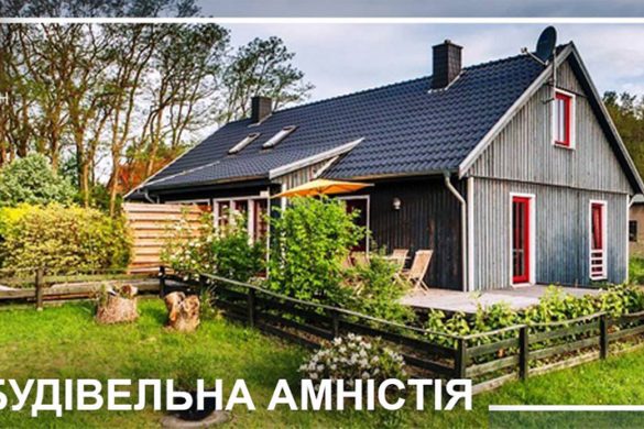 stroy_amnist