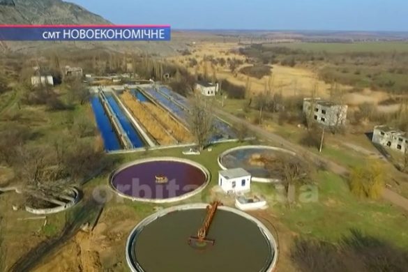 Екологічне лихо у смт.Новоекономічне. Від каналізаційних стоків гинуть свійські птахи