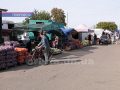 Картопля по 9 гривень, морква по 10. Розпочався сезон зимових заготовок