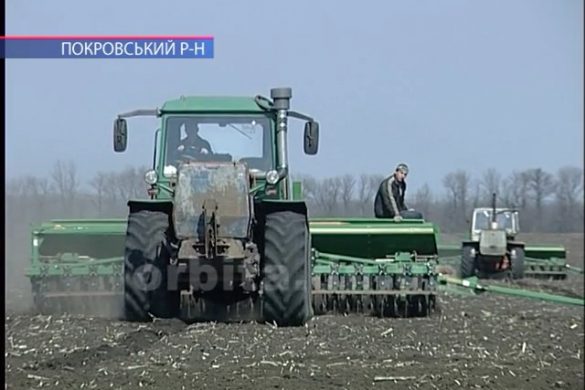 Осіння посівна-2018: в Покровському районі висівають озимину