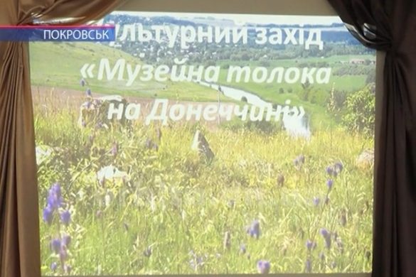 Покровськ став плацдармом для обласної музейної толоки