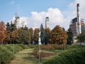ТОВ «Краснолиманська» урочисто здала в експлуатацію нову унікальну для України лаву
