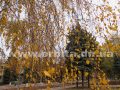 pogoda_osen