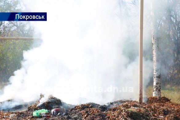 Ви досі спалюєте листя? Тоді інспектори прийдуть до вас!