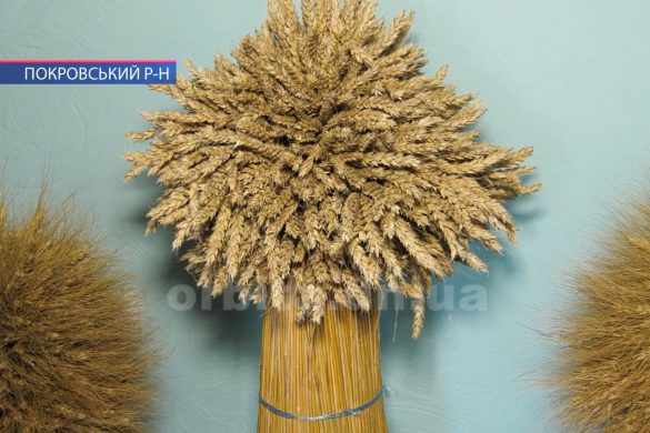 Дослідна станція НААН допоможе всім, хто прагне займатись рослинництвом