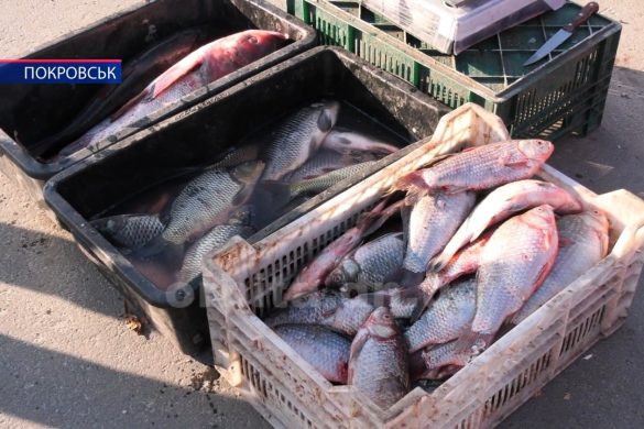 Ботулізм від копченостей: як вберегтись від хвороби та як її розпізнати?