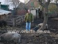 Донецький фермер з душею українського козака