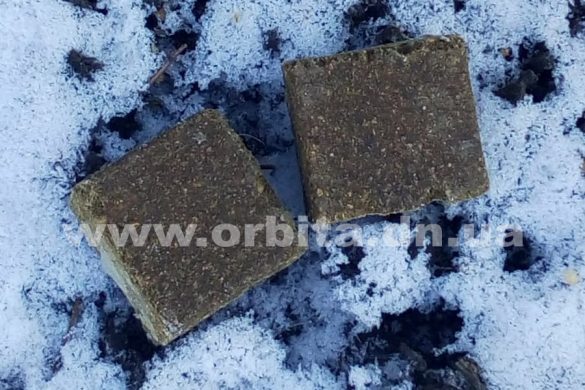 В Покровске и районе разбросают пероральную вакцину для животных против бешенства