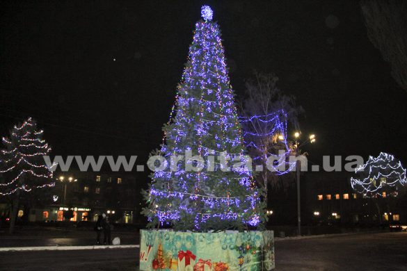 В Покровске установили главную елку города
