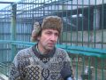 Хто винен та що робити, або Неупереджено про тварин Ігоря Падалки