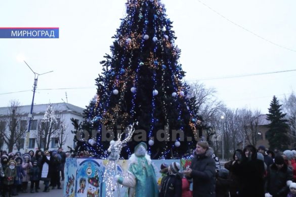 У Мирнограді засяяла яскравими вогниками головна ялинка міста