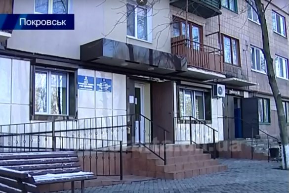 samoorganiz2