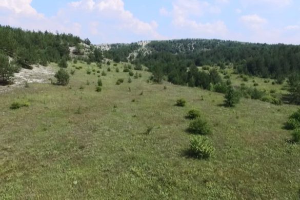 «Донеччина заповідна – насіння життя» - науково-популярний фільм виробництва ТК «Орбіта» презентували у Краматорську