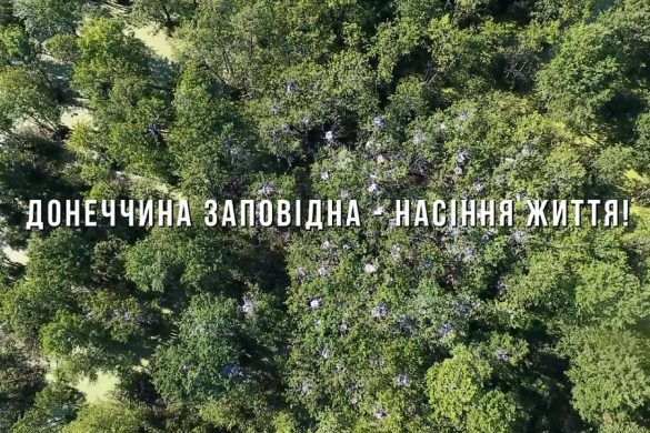 «Донеччина заповідна – насіння життя!»: у Краматорську презентований другий документальний фільм телекомпанії «Орбіта»