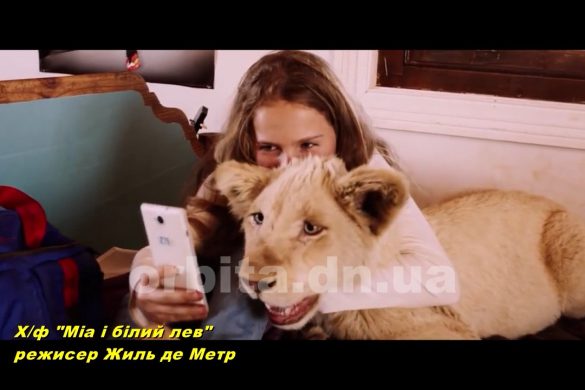 Історія про справжню дружбу дівчинки та білого лева на великих екранах