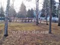 pogoda_vesna