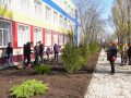 У навчальних закладах Покровська висаджували молоді деревця