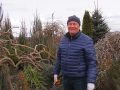 Процес саджання дерев вимагає акуратності
