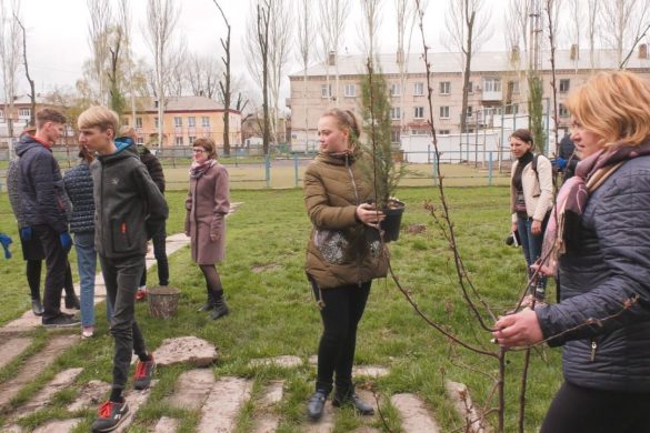 Саджанці дерев, кущів та троянд отримали заклади освіти Покровська