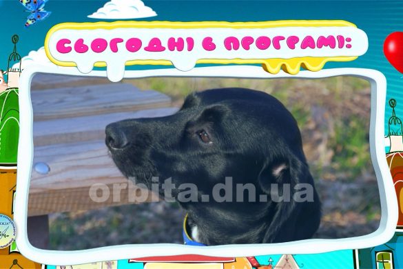 На висоті 19.04.2019
