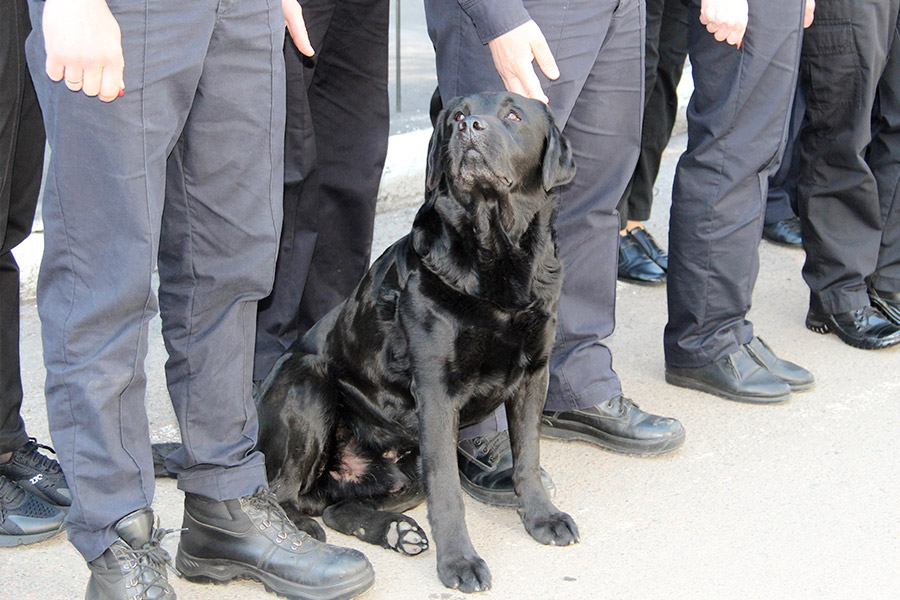 police_vibory_21_04_05