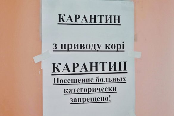 kor_karantin2