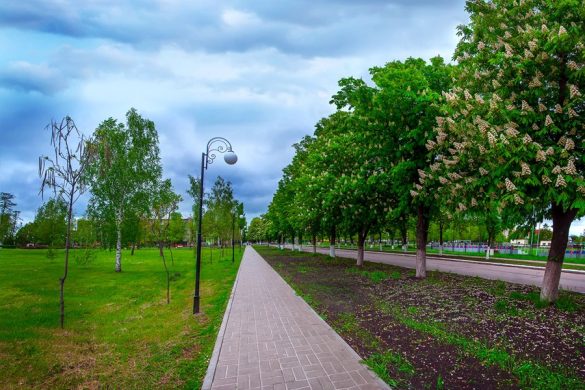 vesna_pogoda
