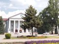 Ялинку з площі Шибанкова пересаджено - звільняють місце для пам’ятника Шевченку