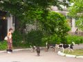 pro-poradi_01_07_2019_hd_02