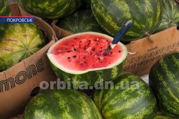 Сезон баштанних культур розпочато на ринках Покровська
