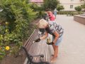 Благоустрій до свят - загальноміський суботник провели у Мирнограді