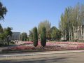 Благоустрій площі Шибанкова триває - облаштовують нові клумби