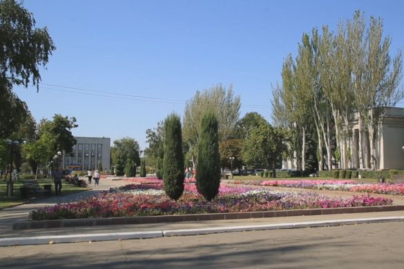 Благоустрій площі Шибанкова триває - облаштовують нові клумби