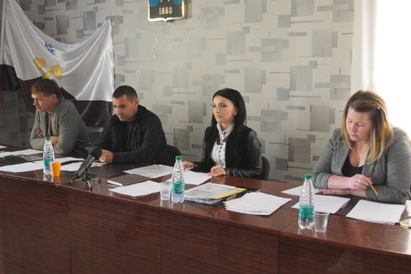 Чергове засідання виконавчого комітету відбулось у Родинському