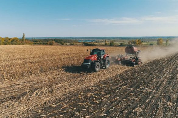 В агрофірмі «Дружба» завершують збирання соняшнику та сіють озимину