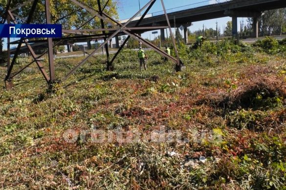 У Покровську роботи з благоустрою виконують місцеві підприємці