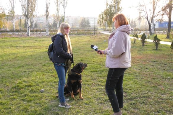 Чи готові покровчани прибирати за домашніми улюбленцями?