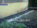 Програма «200-200-200»: зміни чи видимість?