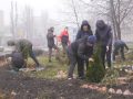 «Зелений десант». До висадки декоративних кущів долучились старшокласники міста