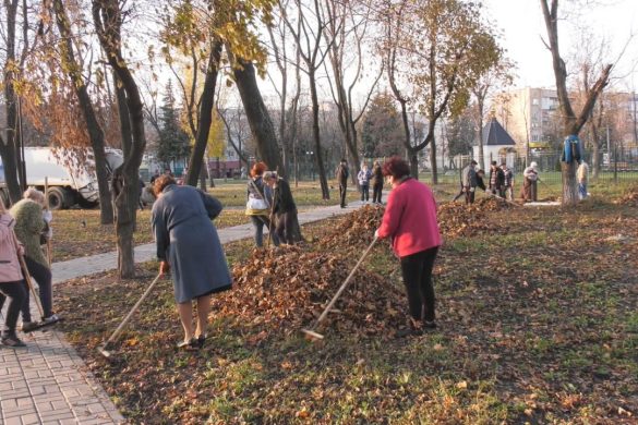 Осіннє прибирання: покровчани наводять лад в парку «Соборний»