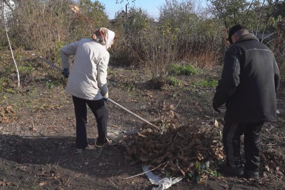 Озеленення з чаюванням: креативний суботник на вулиці Солов’яненка