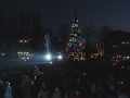 Весело та запально відкрили головну міську ялинку на площі Шибанкова